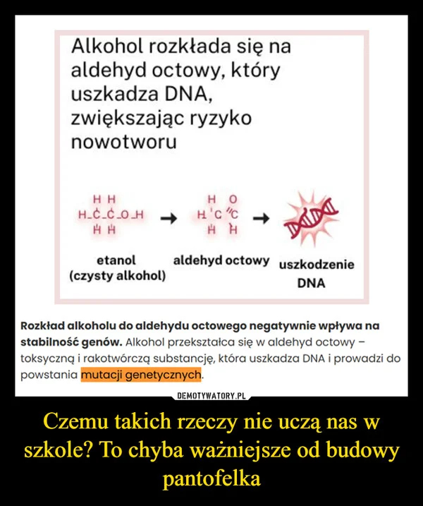 
    Czemu takich rzeczy nie uczą nas w szkole? To chyba ważniejsze od budowy pantofelka