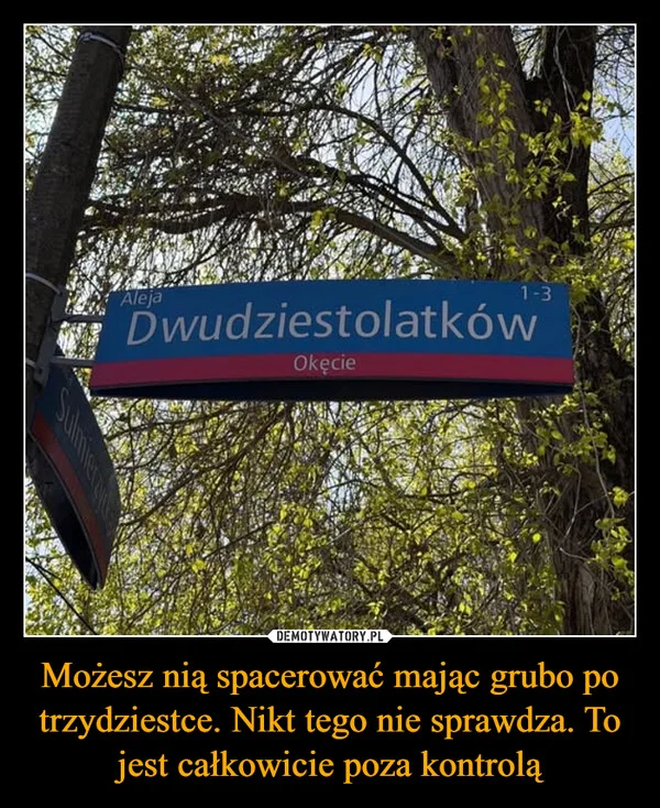 
    Możesz nią spacerować mając grubo po trzydziestce. Nikt tego nie sprawdza. To jest całkowicie poza kontrolą