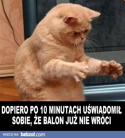 
    Balon nie wróci