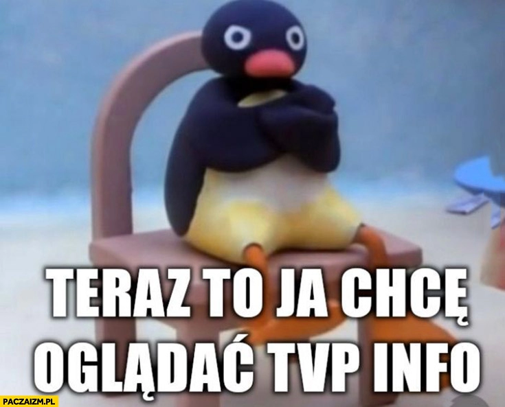 
    Teraz to ja chcę oglądać TVP info pingwin obrażony