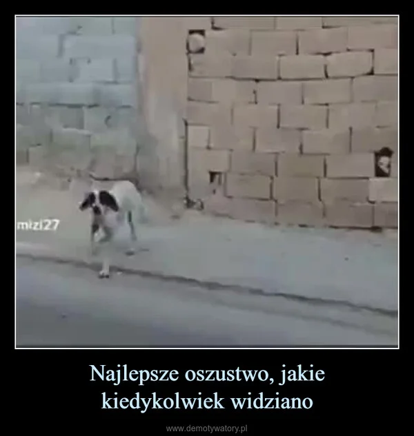 
    Najlepsze oszustwo, jakie kiedykolwiek widziano