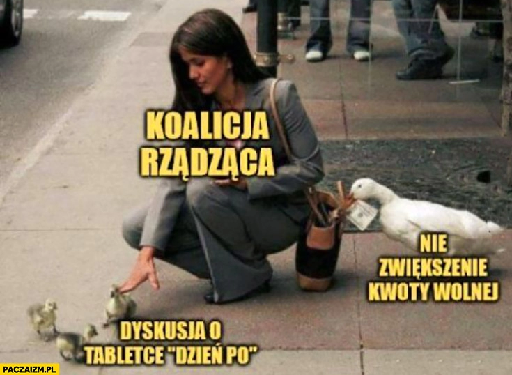 
    Koalicja rządząca dyskusja o tabletce dzień po nie zwiększenie kwoty wolnej od podatku