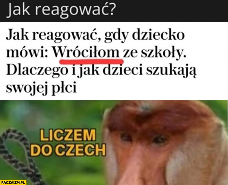 
    Jak reagować gdy dziecko mówi wrociłom ze szkoły? Polak nosacz liczem do czech