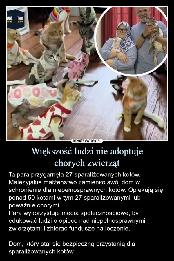 
    Większość ludzi nie adoptuje chorych zwierząt