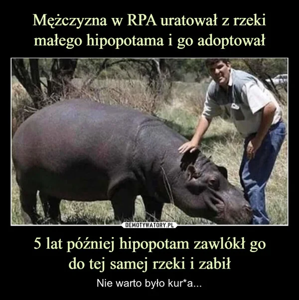 
    Mężczyzna w RPA uratował z rzeki małego hipopotama i go adoptował 5 lat później hipopotam zawlókł go do tej samej rzeki i zabił