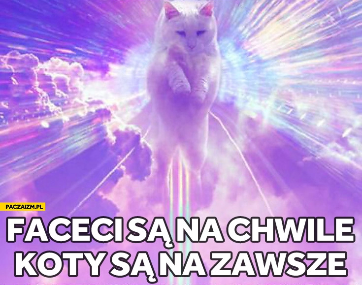 
    Faceci są na chwilę koty są na zawsze