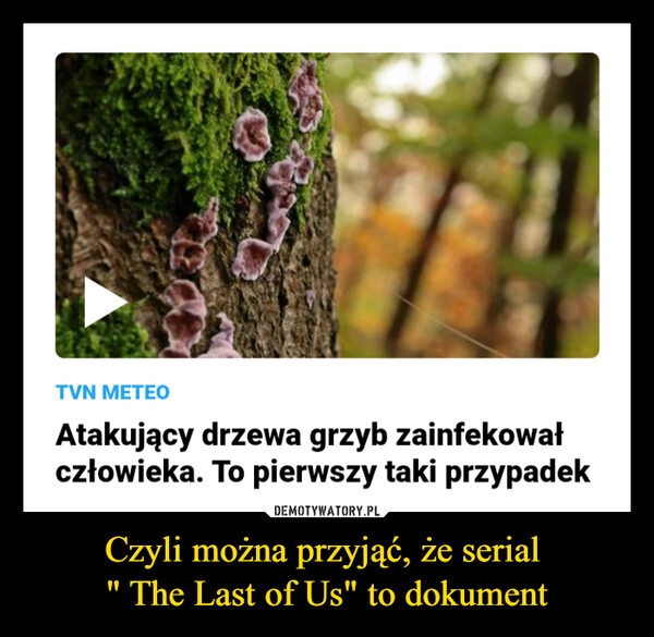 
    Czyli można przyjąć, że serial 
" The Last of Us" to dokument