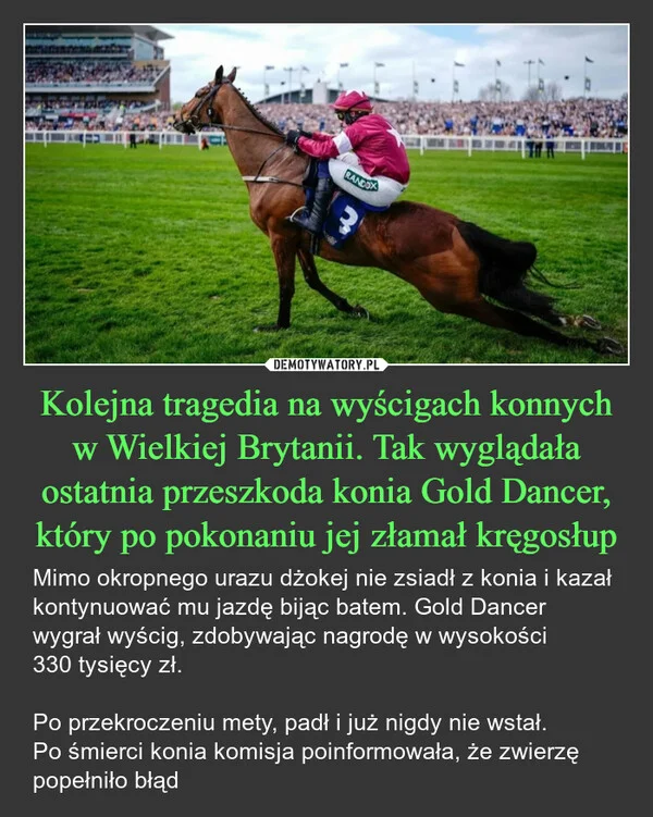 
    Kolejna tragedia na wyścigach konnych w Wielkiej Brytanii. Tak wyglądała ostatnia przeszkoda konia Gold Dancer, który po pokonaniu jej złamał kręgosłup