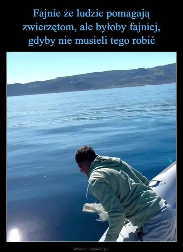 
    Fajnie że ludzie pomagają zwierzętom, ale byłoby fajniej, gdyby nie musieli tego robić