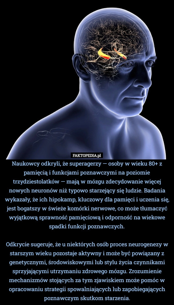 
    Naukowcy odkryli, że superagerzy — osoby w wieku 80+ z pamięcią i funkcjami