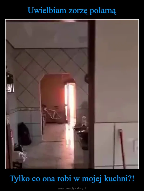 
    Uwielbiam zorzę polarną Tylko co ona robi w mojej kuchni?!