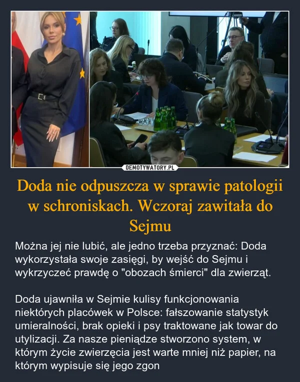 
    Doda nie odpuszcza w sprawie patologii w schroniskach. Wczoraj zawitała do Sejmu