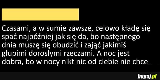 
    Tylko w nocy mam czas dla siebie i święty spokój