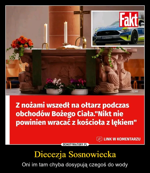 
    Diecezja Sosnowiecka