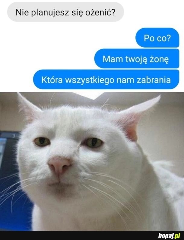 
    Jednej żony wystarczy