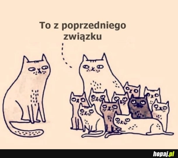 
    Oj... xd
