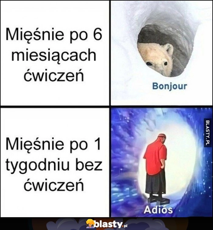 
    Mięśnie po 6 miesiącach ćwiczeń vs mięśnie po 1 tygodniu bez ćwiczeń