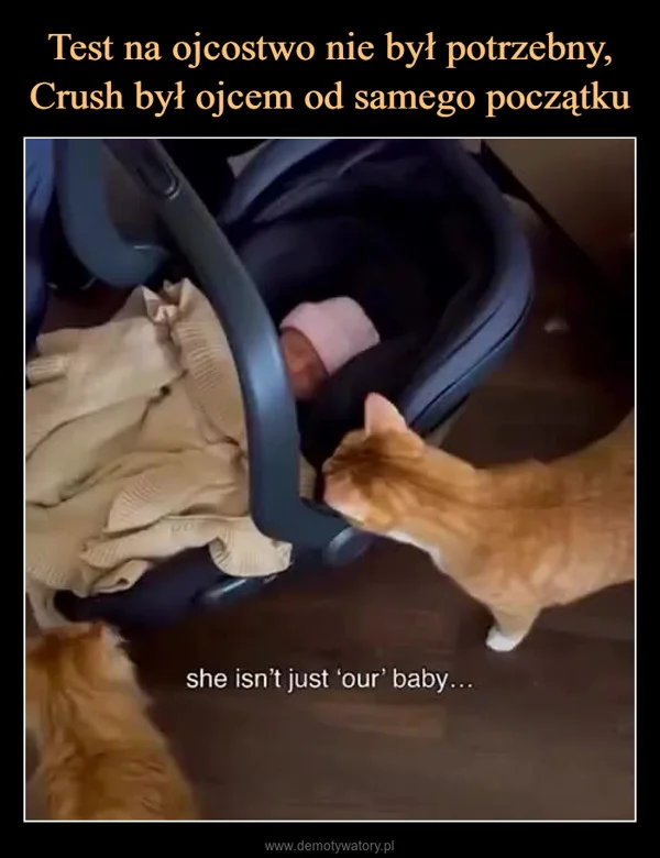 
    Test na ojcostwo nie był potrzebny, Crush był ojcem od samego początku