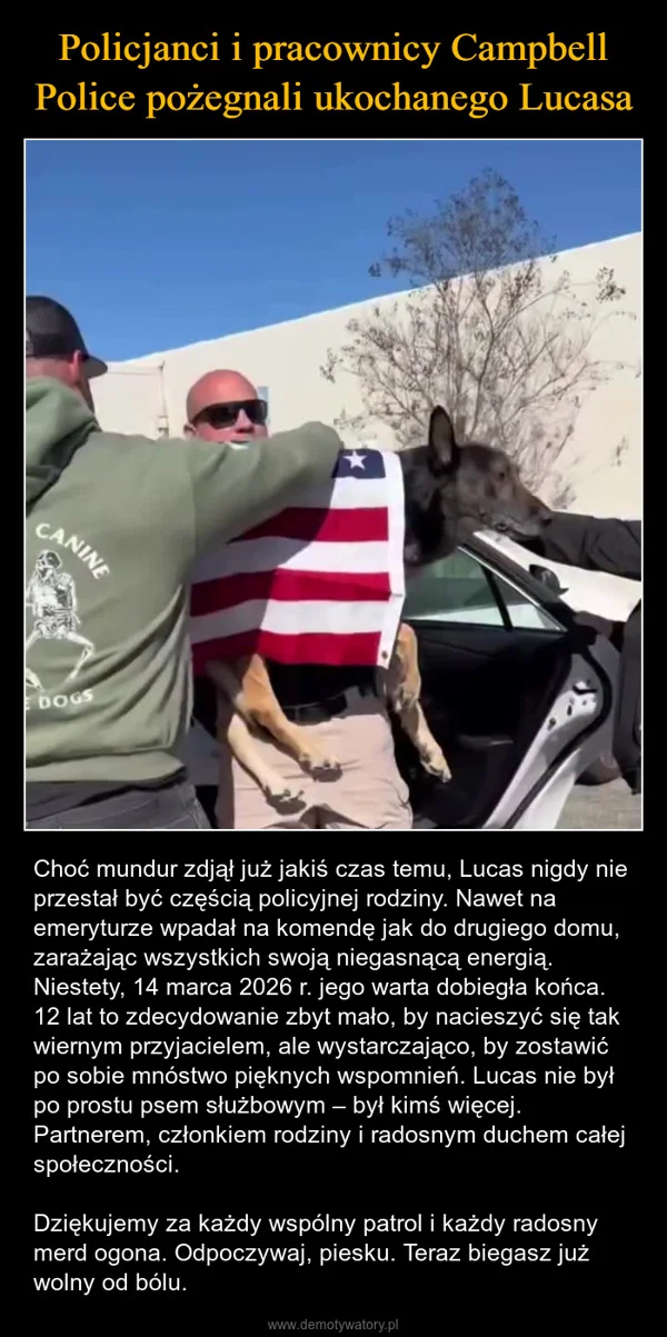 
    Policjanci i pracownicy Campbell Police pożegnali ukochanego Lucasa