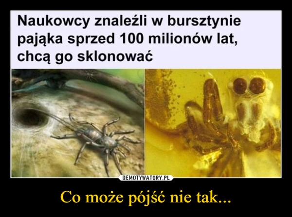 
    Co może pójść nie tak...