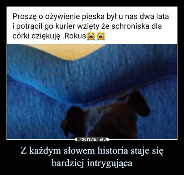 
    Z każdym słowem historia staje się bardziej intrygująca