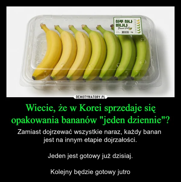 
    Wiecie, że w Korei sprzedaje się opakowania bananów 