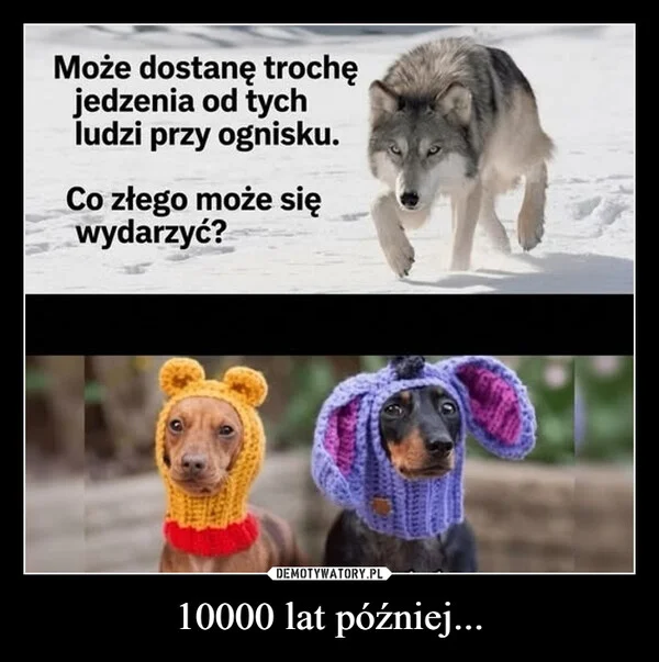 
    10000 lat później...