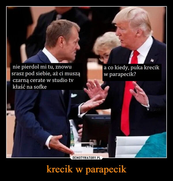 
    krecik w parapecik