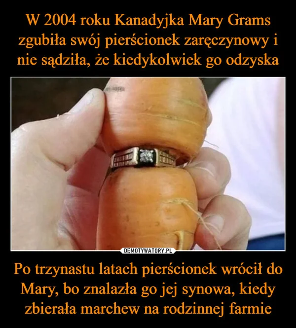 
    W 2004 roku Kanadyjka Mary Grams zgubiła swój pierścionek zaręczynowy i nie sądziła, że kiedykolwiek go odzyska Po trzynastu latach pierścionek wrócił do Mary, bo znalazła go jej synowa, kiedy zbierała marchew na rodzinnej farmie