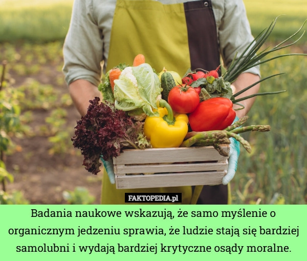 
    Badania naukowe wskazują, że samo myślenie o organicznym jedzeniu sprawia,