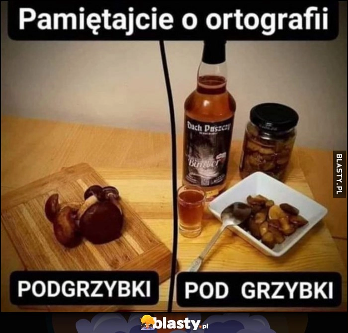 
    Pamiętajcie o ortografii różnica między podgrzybki a pod grzybki picie alkohol