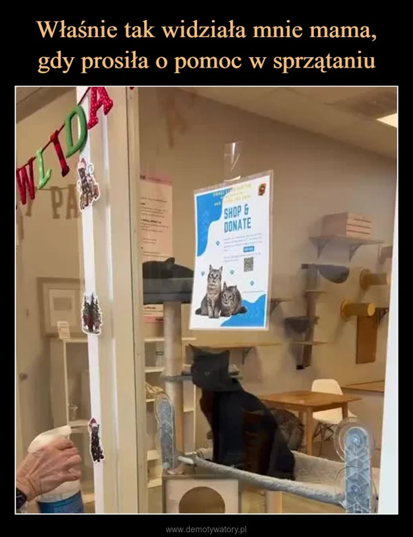 
    Właśnie tak widziała mnie mama, gdy prosiła o pomoc w sprzątaniu