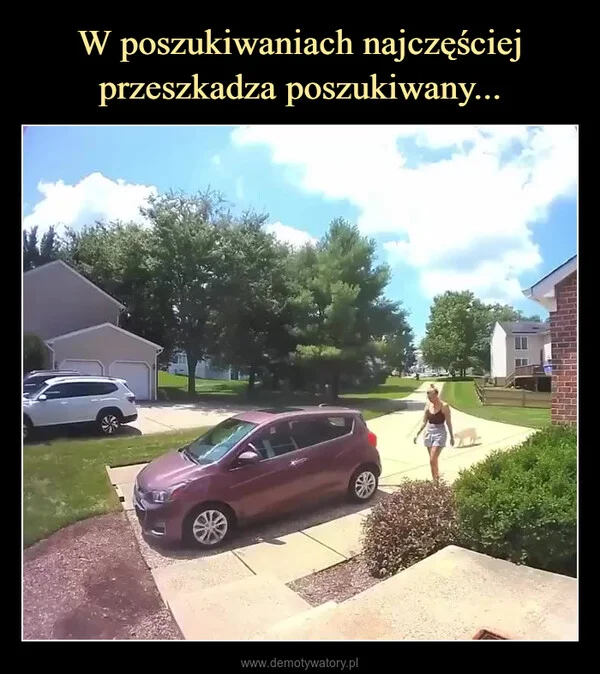 
    W poszukiwaniach najczęściej przeszkadza poszukiwany...