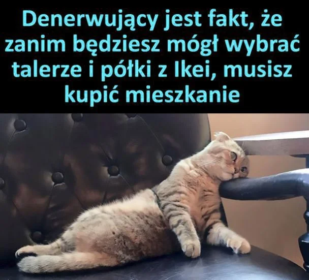 
    Denerwujący fakt