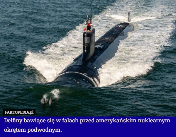 
    Delfiny bawiące się w falach przed amerykańskim nuklearnym okrętem podwodnym.