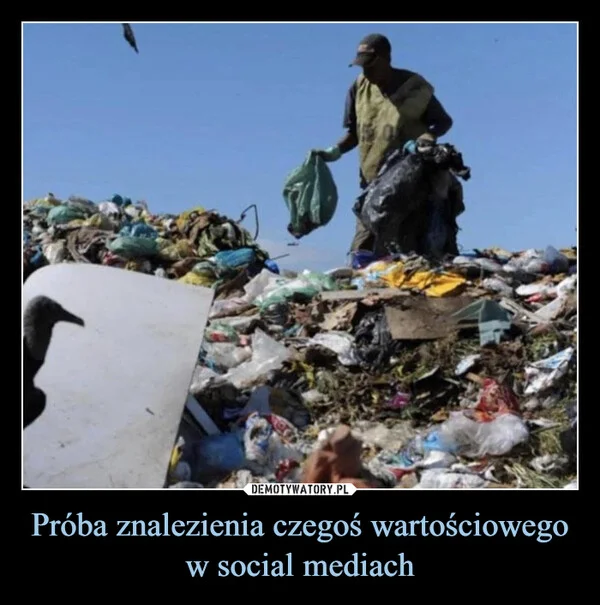 
    Próba znalezienia czegoś wartościowego w social mediach