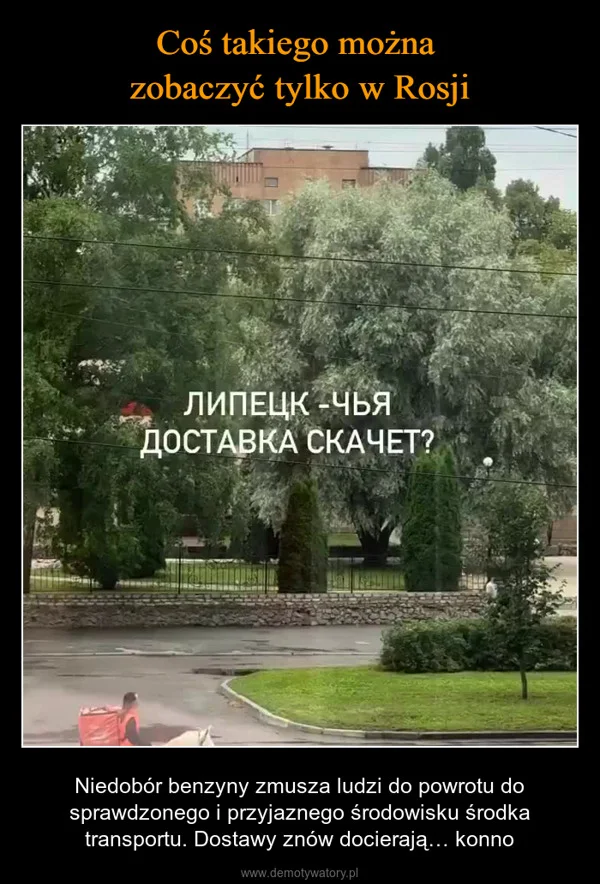 
    Coś takiego można zobaczyć tylko w Rosji