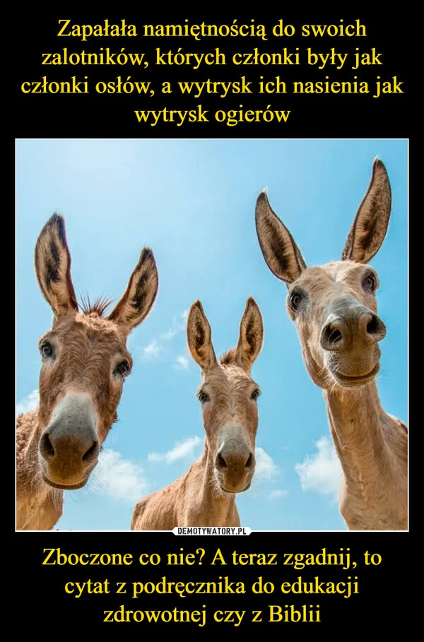 
    Zapałała namiętnością do swoich zalotników, których członki były jak członki osłów, a wytrysk ich nasienia jak wytrysk ogierów Zboczone co nie? A teraz zgadnij, to cytat z podręcznika do edukacji zdrowotnej czy z Biblii