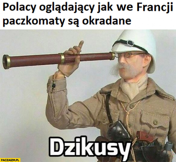 
    Polacy oglądający jak we Francji paczkomaty są okradane dzikusy