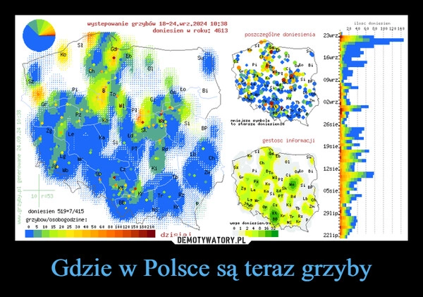 
    Gdzie w Polsce są teraz grzyby