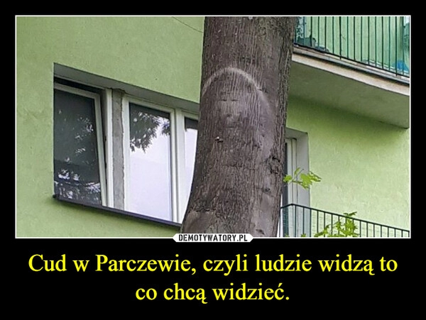 
    Cud w Parczewie, czyli ludzie widzą to co chcą widzieć.