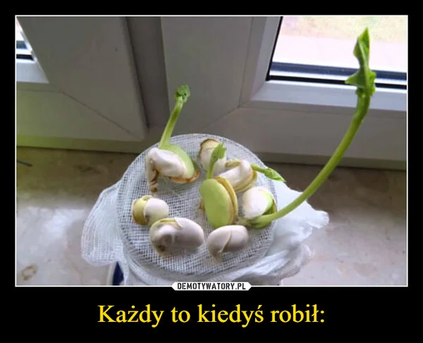 
    Każdy to kiedyś robił: