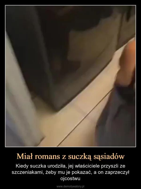 
    Miał romans z suczką sąsiadów