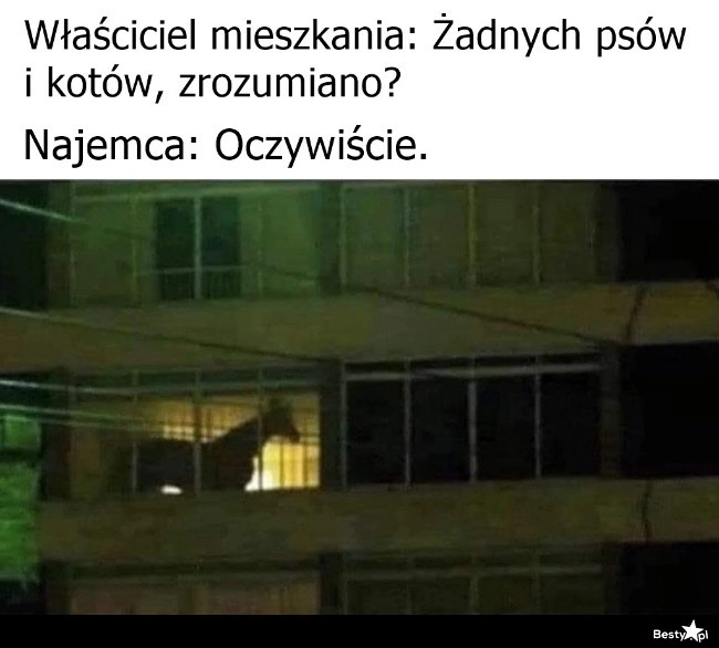 
    O koniach nic nie wspominał 