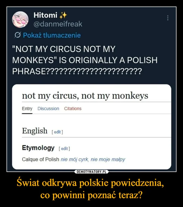 
    Świat odkrywa polskie powiedzenia, co powinni poznać teraz?