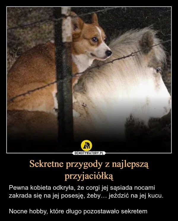 
    Sekretne przygody z najlepszą przyjaciółką