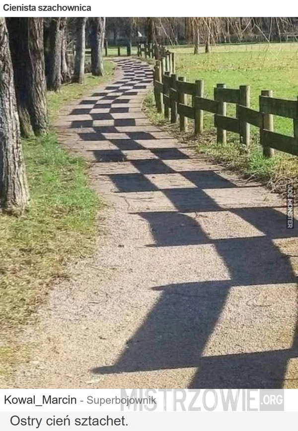 
    Cienista szachownica