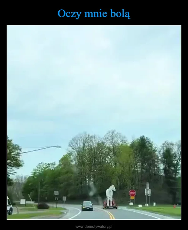 
    Oczy mnie bolą
