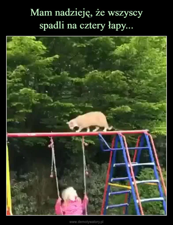 
    Mam nadzieję, że wszyscy spadli na cztery łapy...