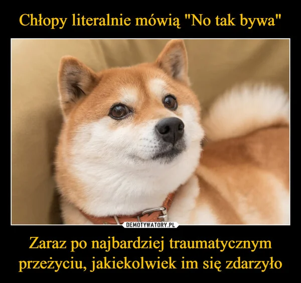 
    Chłopy literalnie mówią 